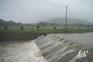 雷竞技下载